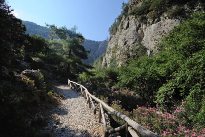 agia-irini39